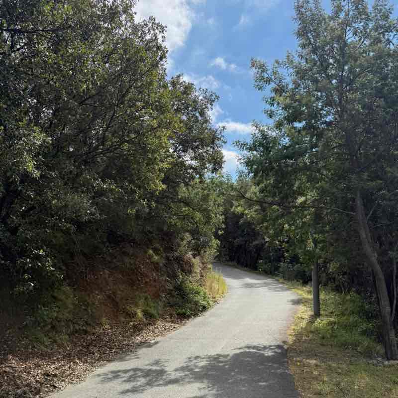 Piccola 🥇🏰🥇 post 2