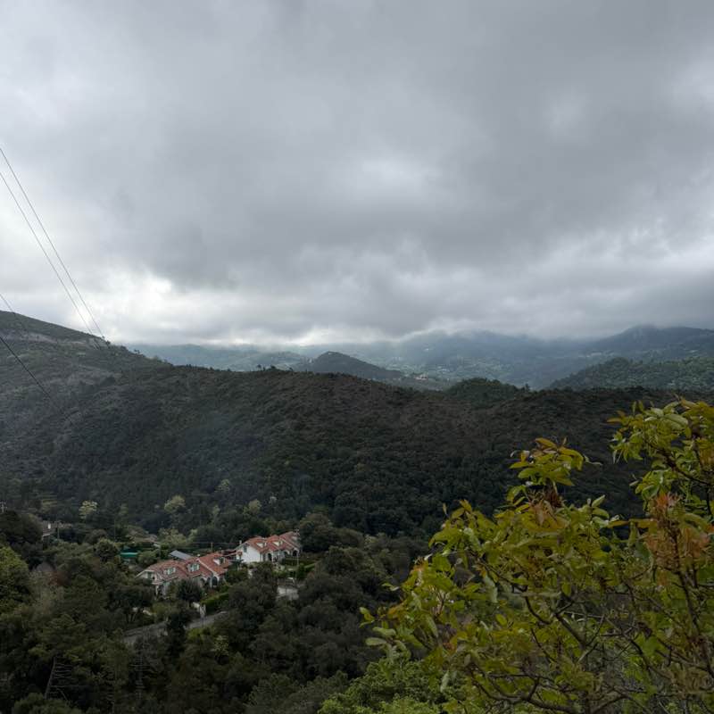 Piccola 🥇🏰🥇 post 1