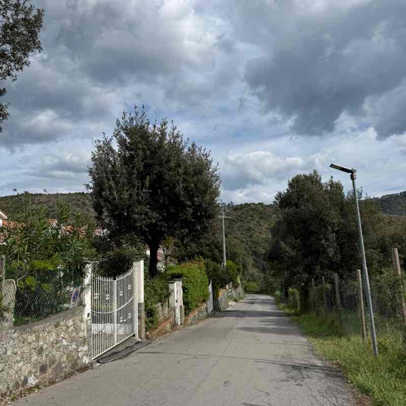 Piccola 🥇🏰🥇 post 2