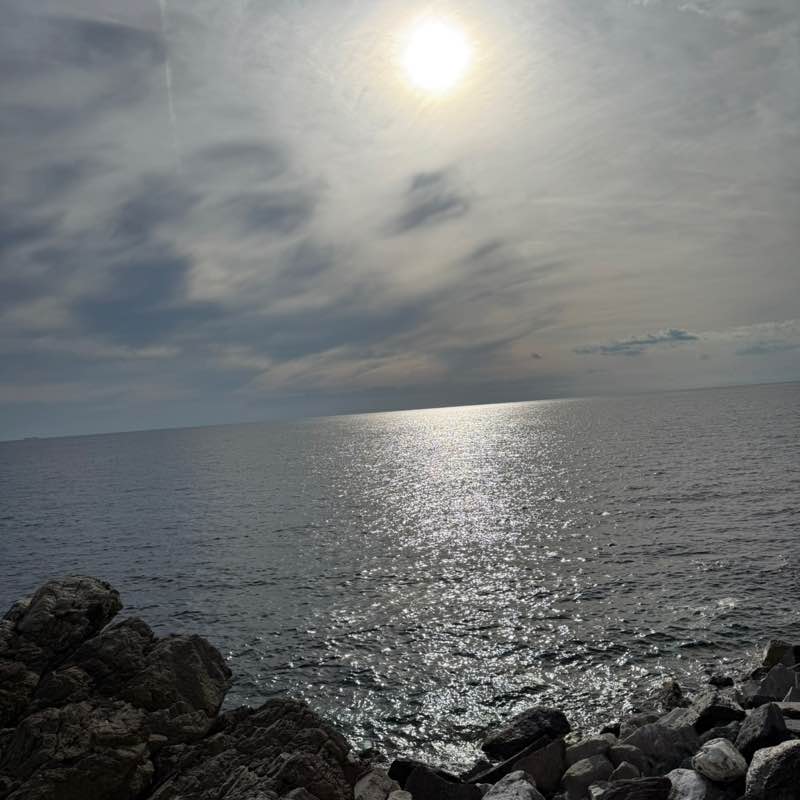 Piccola 🥇🏰🥇 post 1