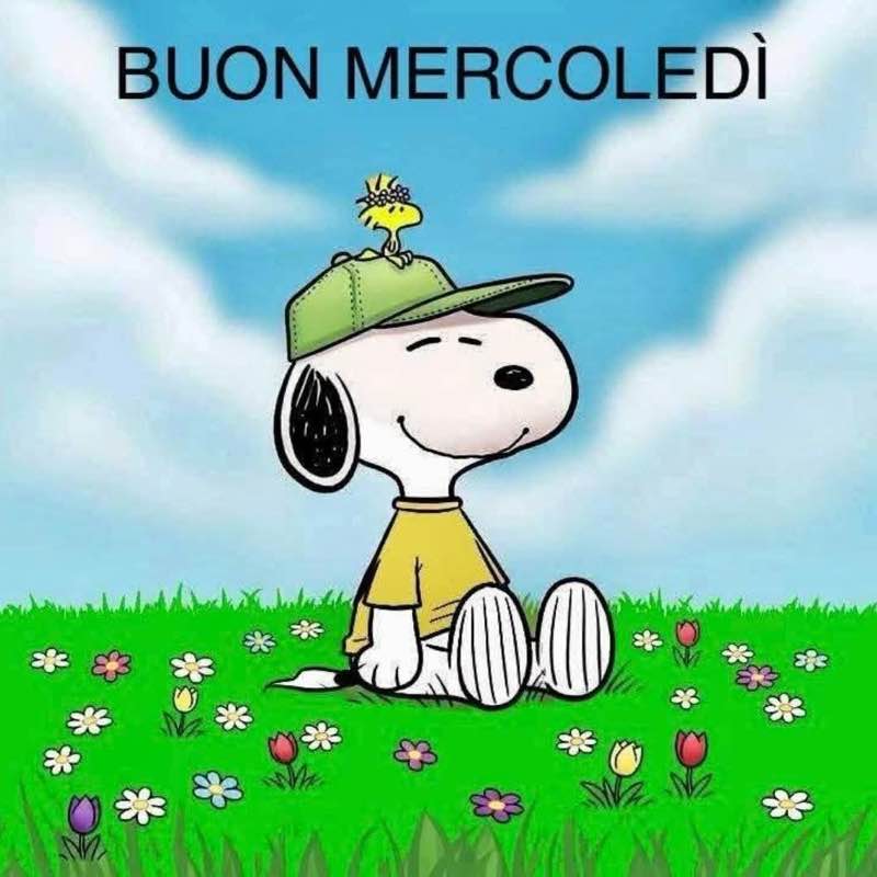 Piccola 🥇🏰🥇 post 3