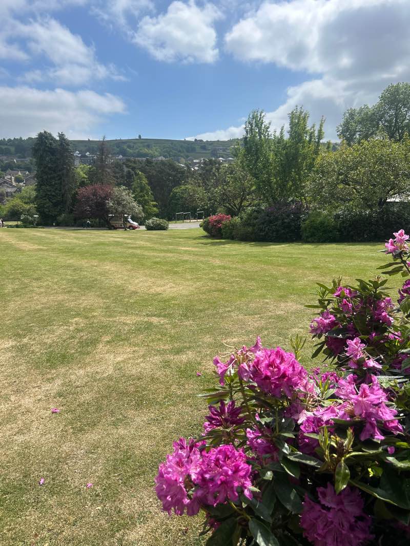 walking near me in Central Park in spring