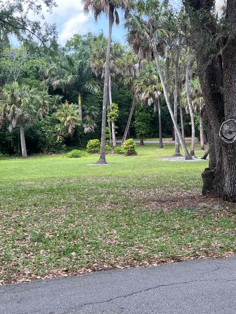 walking near me in Snyder Park in spring
