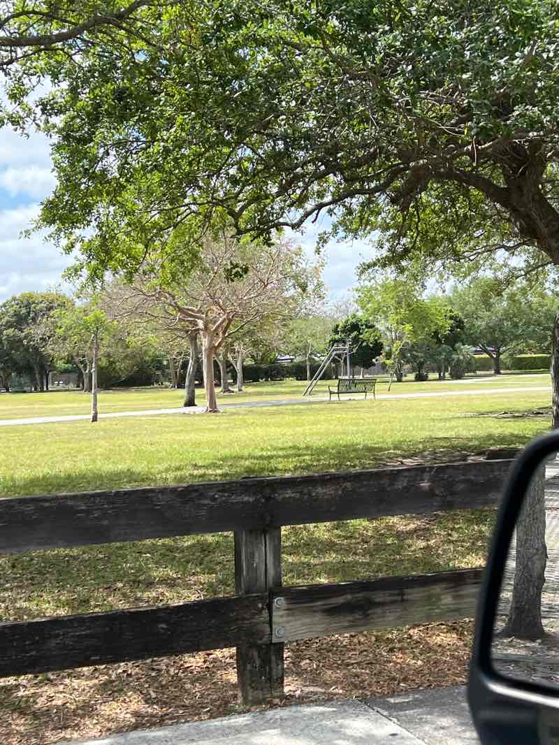 walking near me in Arvida Park in spring