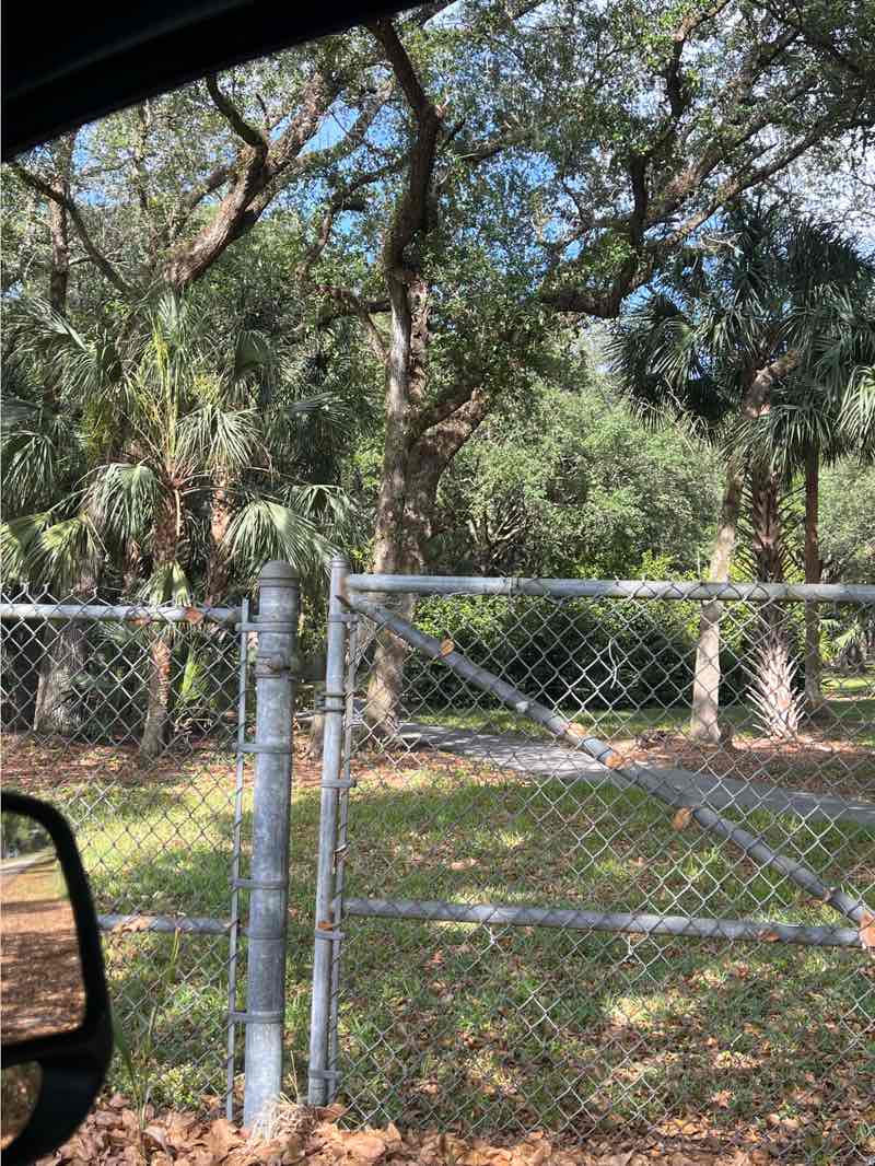 walking near me in John Williams Park in spring