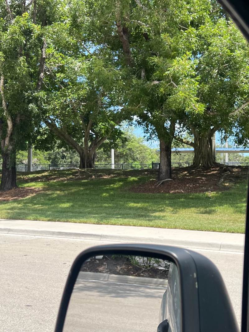walking near me in Tequesta Trace Park in summer