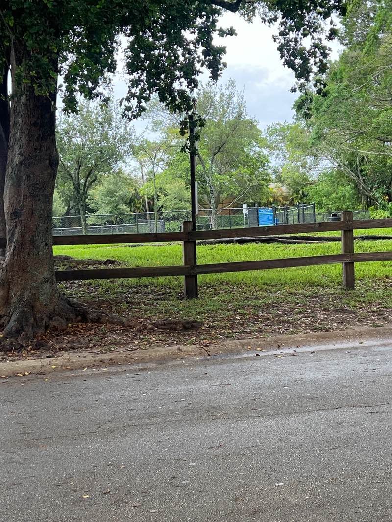 walking near me in Emerald Hills Lake Park in summer