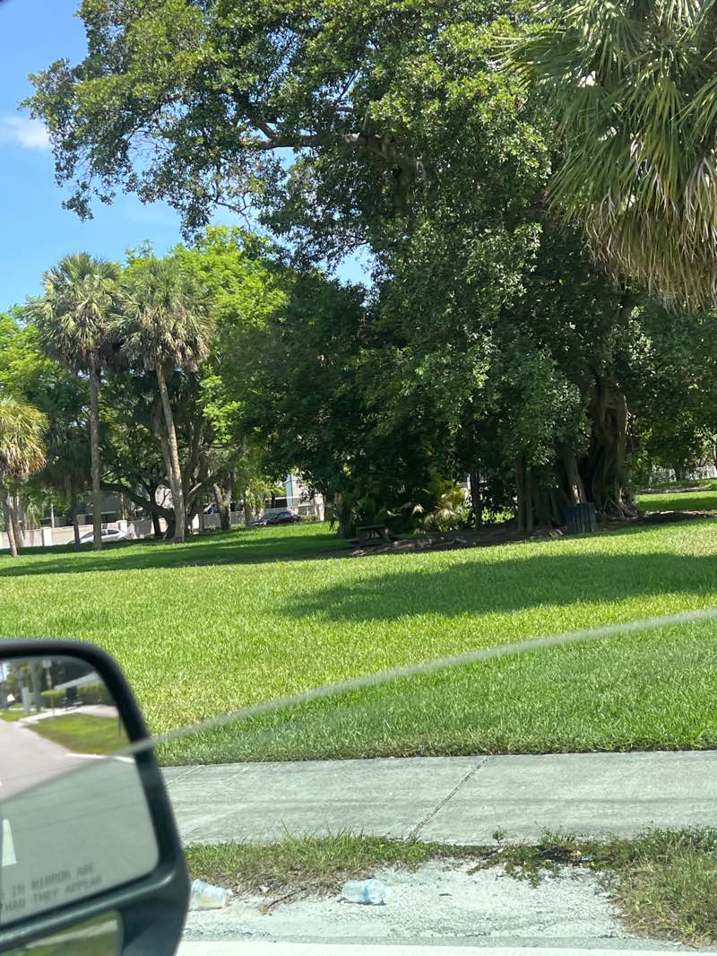walking near me in Earl Crofford Park in summer
