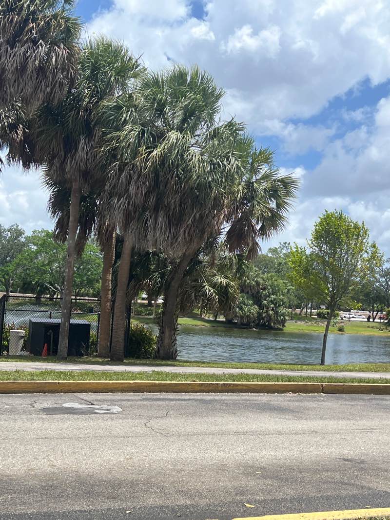 walking near me in Broward College Fitness Park in summer