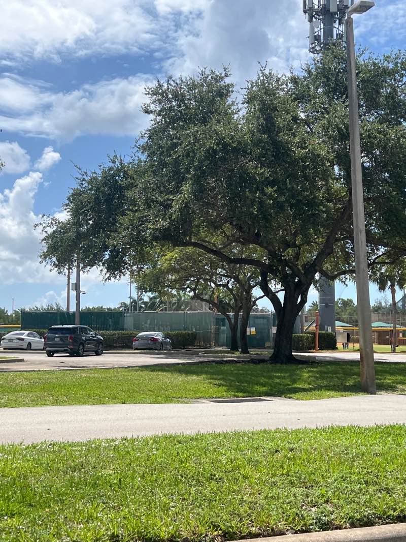 walking near me in Suellen H. Fardelmann Sports Complex in summer