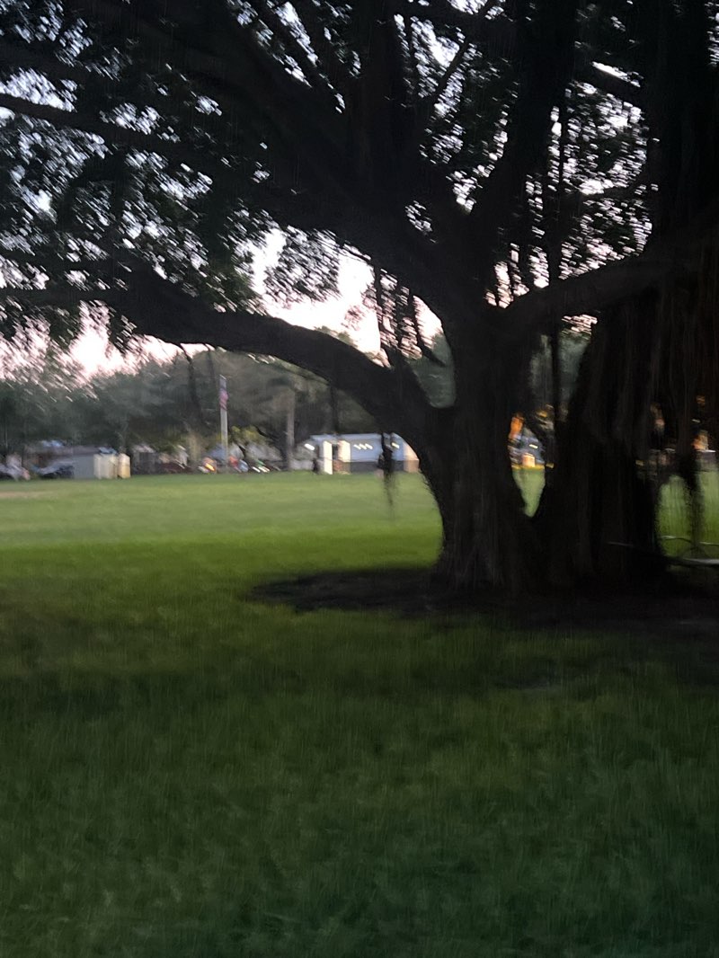 walking near me in Jefferson Park in summer