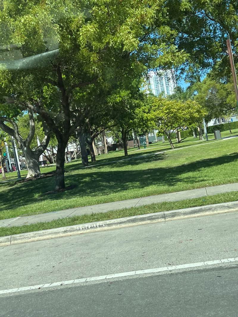 walking near me in Three Islands Park in autumn