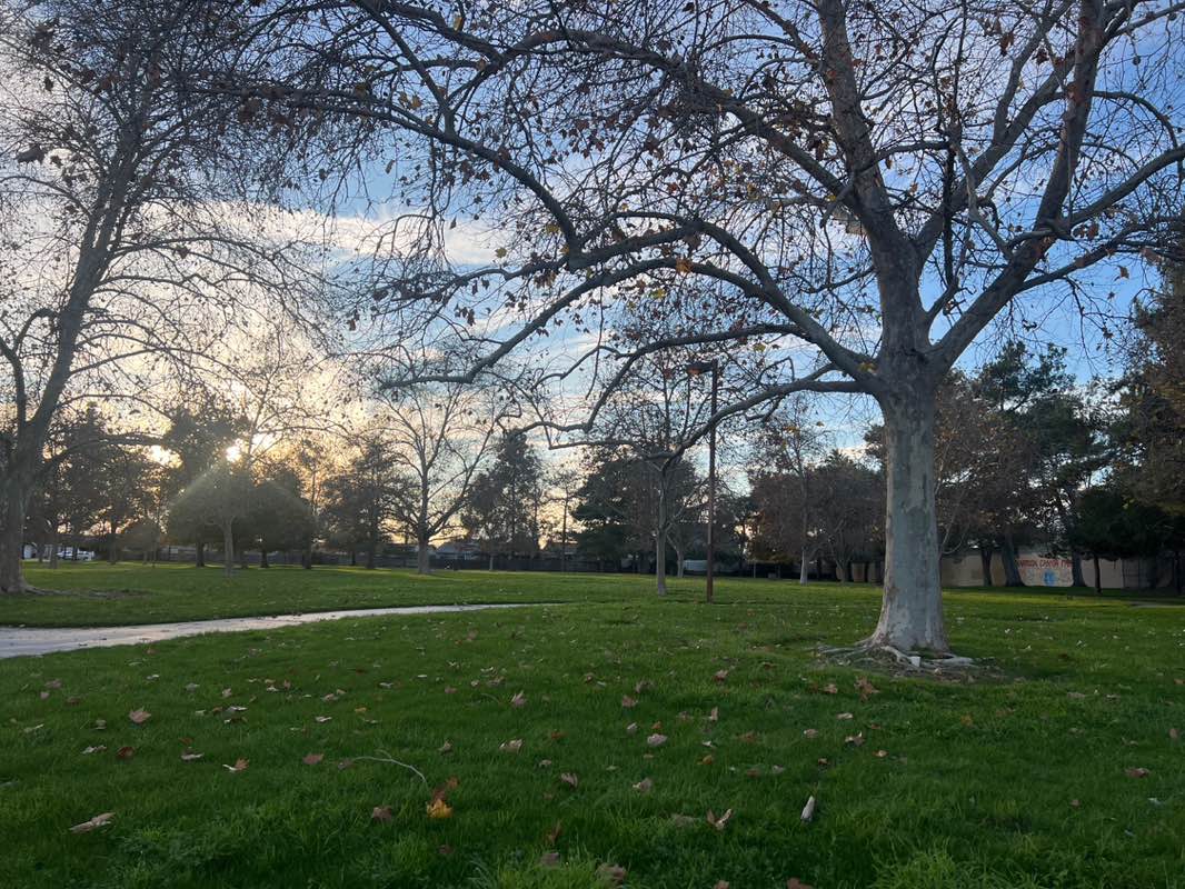 walking near me in Harrison Canyon Park in winter