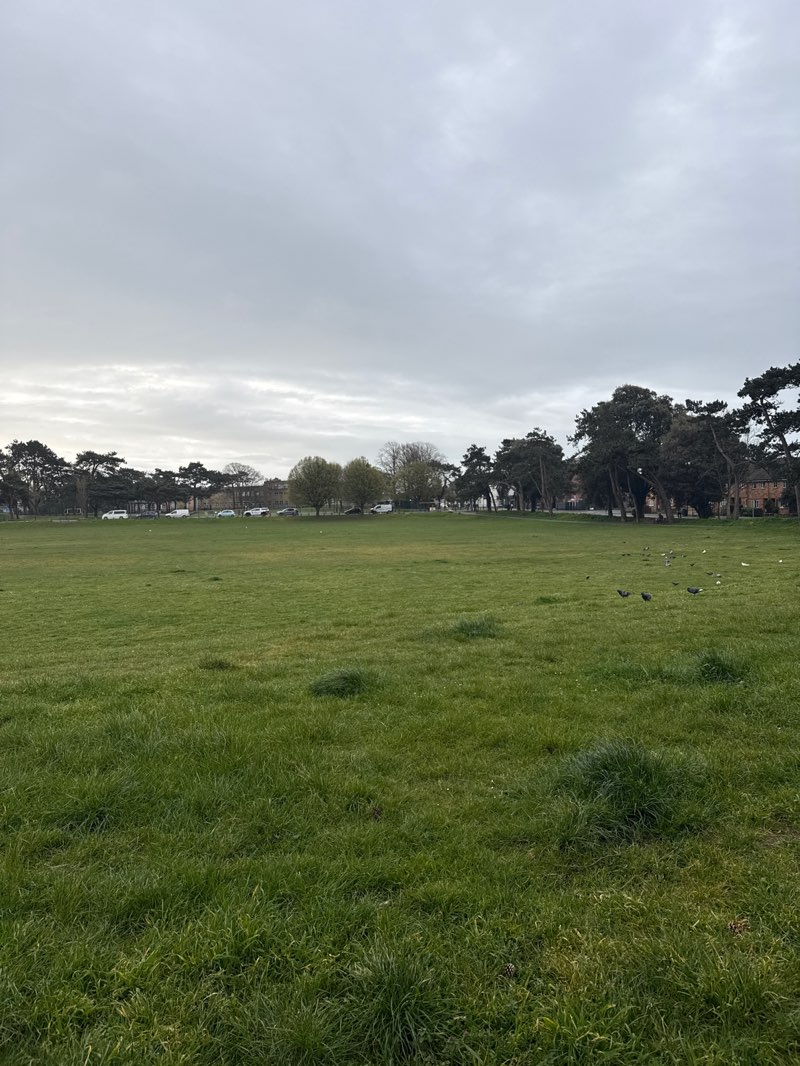 walking near me in Kings Park in spring