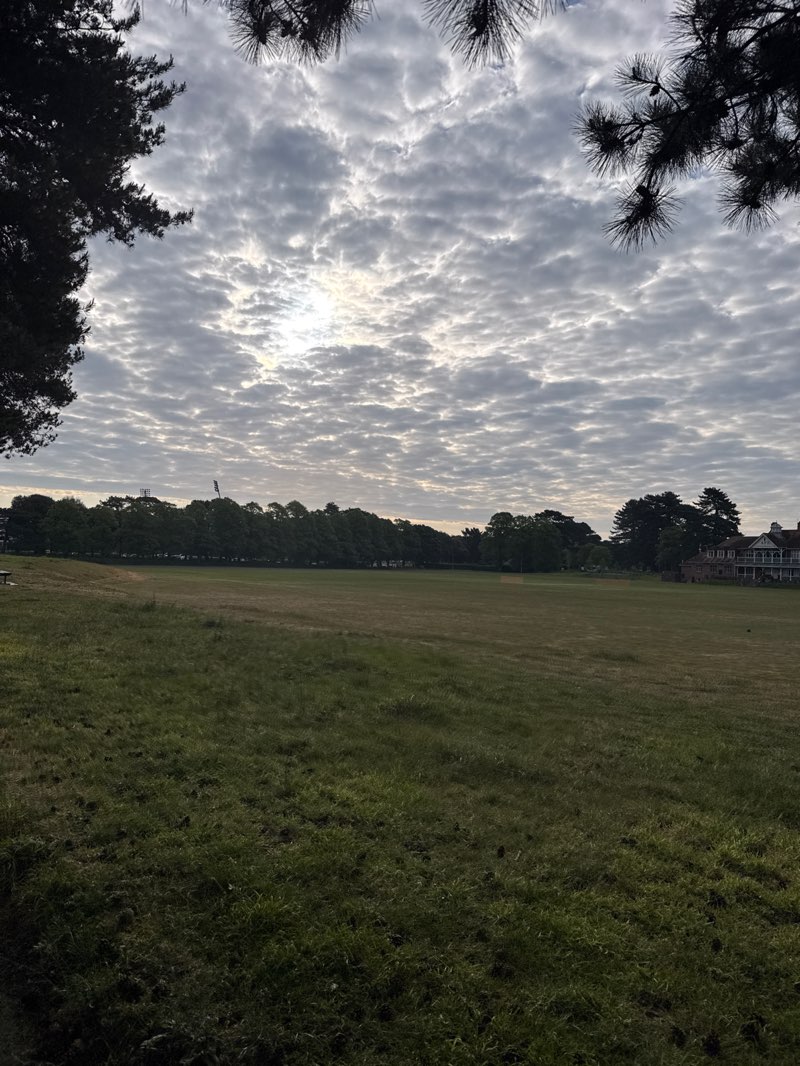 walking near me in Kings Park in spring
