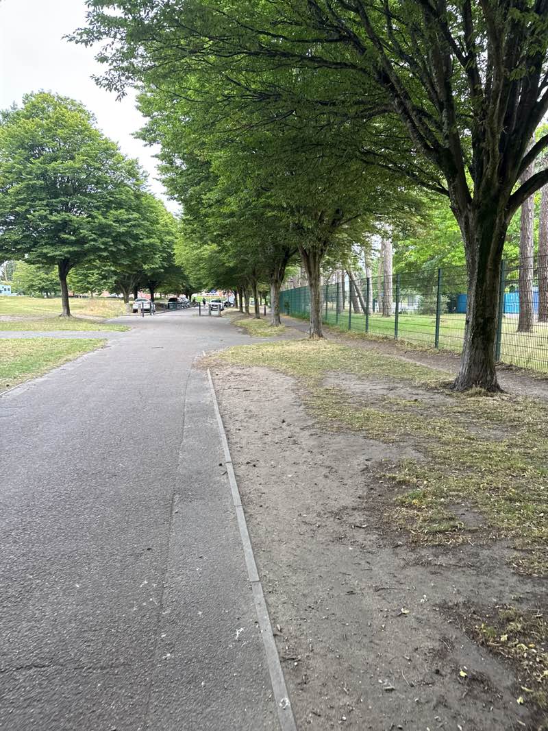 walking near me in Kings Park in summer
