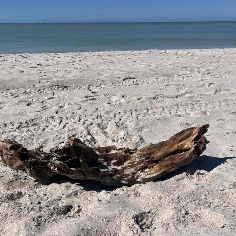 andieu350 🙋🏻‍♀️ post 3