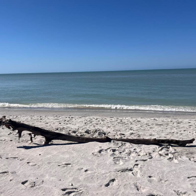 andieu350 🙋🏻‍♀️ post 1