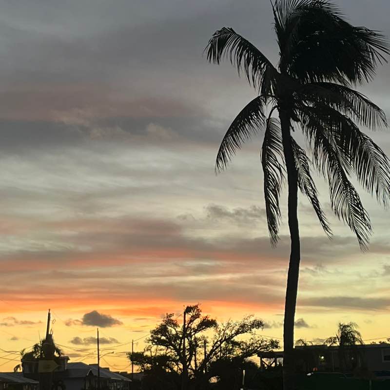 andieu350 🙋🏻‍♀️ post 1