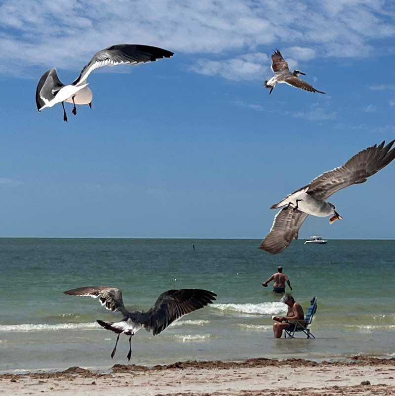 andieu350 🙋🏻‍♀️ post 1