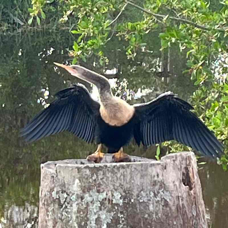 andieu350 🙋🏻‍♀️ post 2