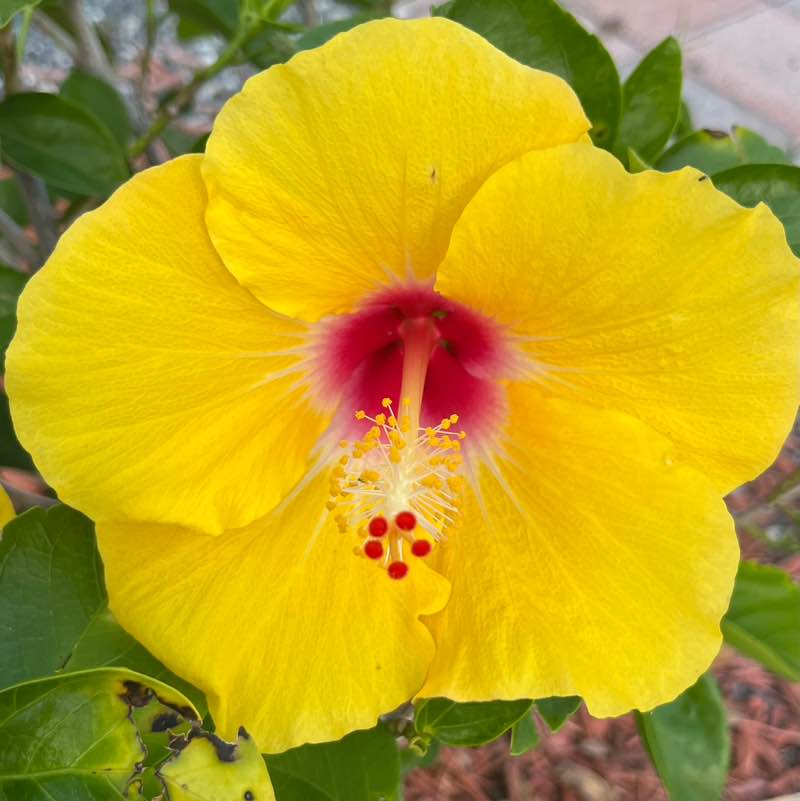 andieu350 🙋🏻‍♀️ post 3