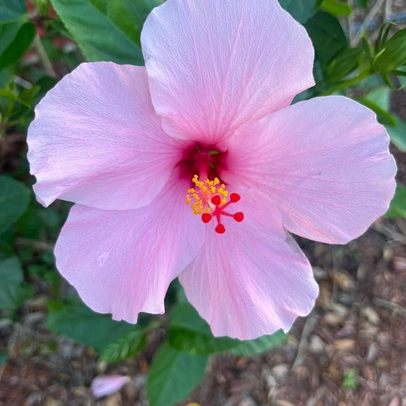 andieu350 🙋🏻‍♀️ post 1