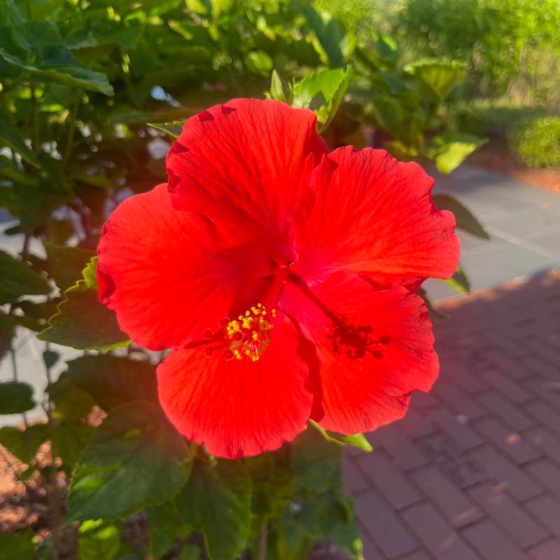 andieu350 🙋🏻‍♀️ post 2