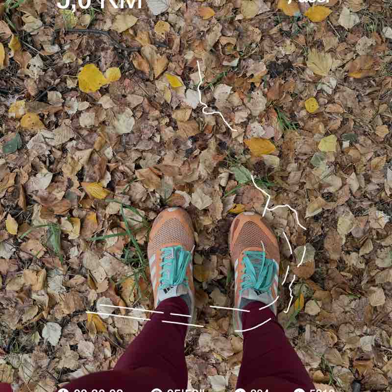 PacerЛейди_1979 post 1