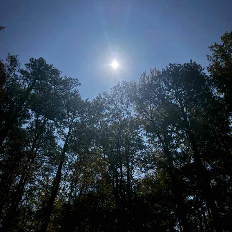 ๐FULL MOON๐ PG_57 โค๏ธ๐ค๐๐๏ธ post image