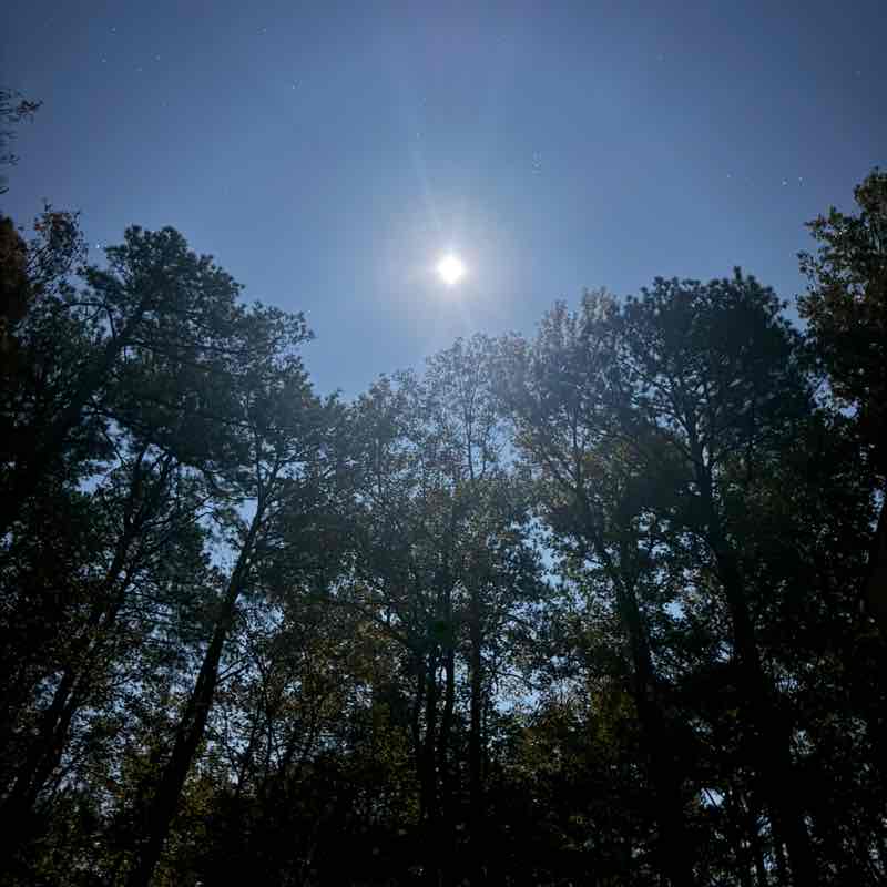 ๐FULL MOON๐ PG_57 โค๏ธ๐ค๐๐๏ธ post image