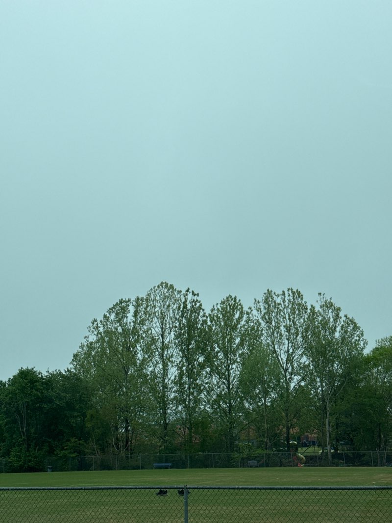 walking near me in Sweet Apple Park in spring