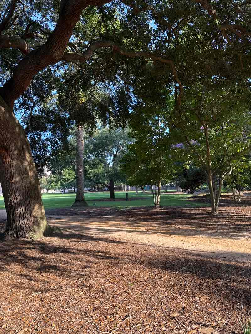 walking near me in Marion Square in autumn