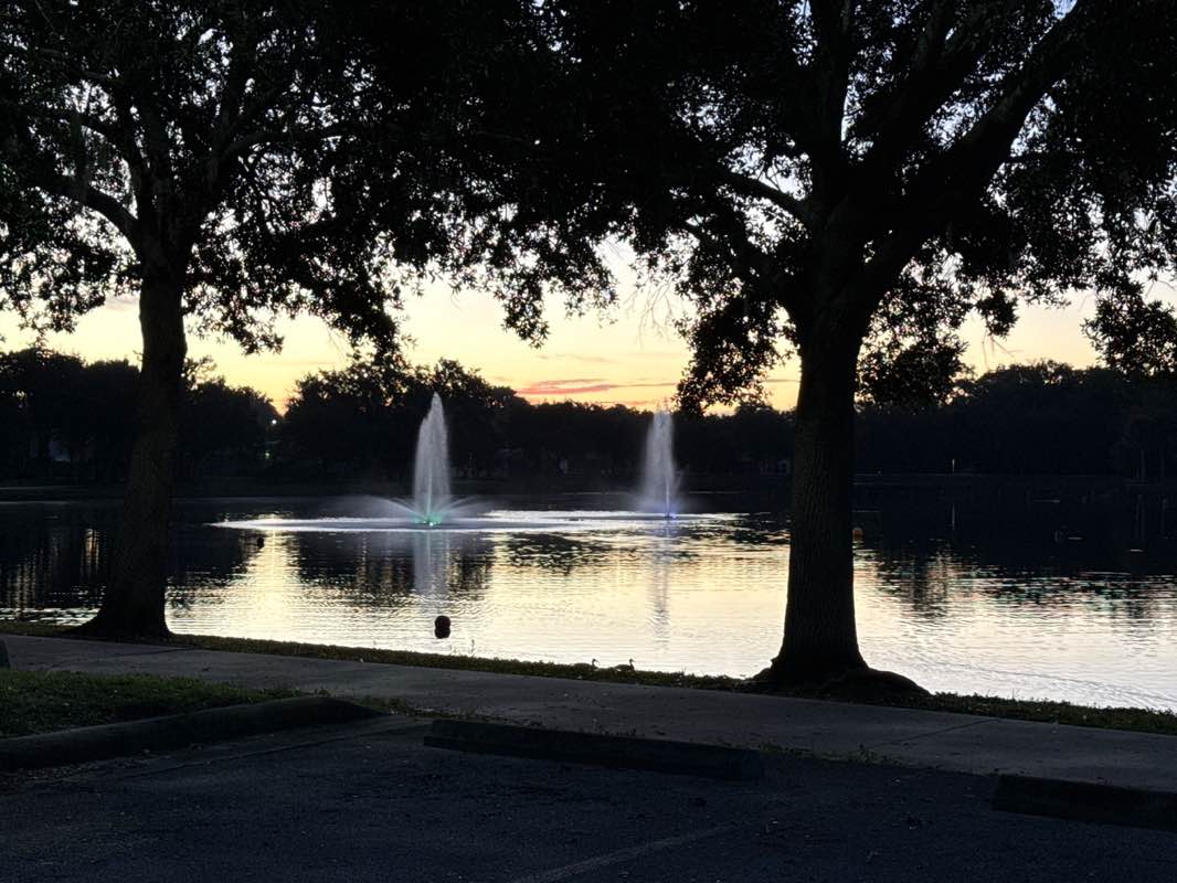 walking near me in Reed Canal Park in autumn