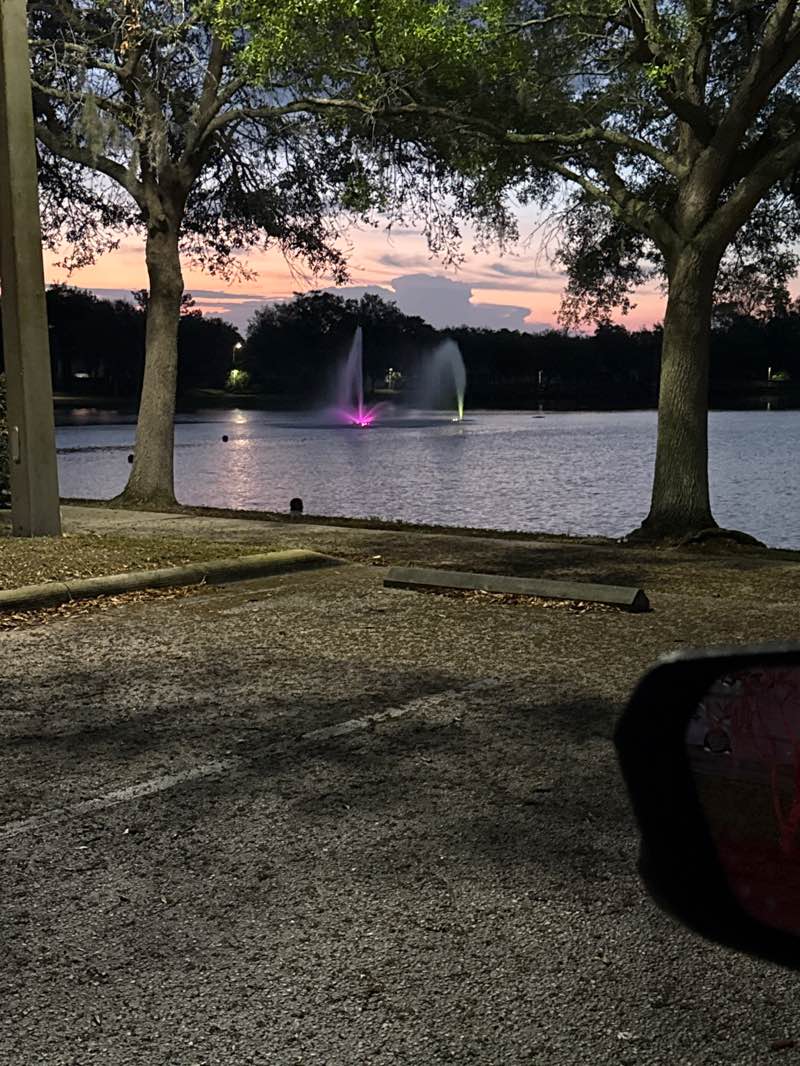 walking near me in Reed Canal Park in spring