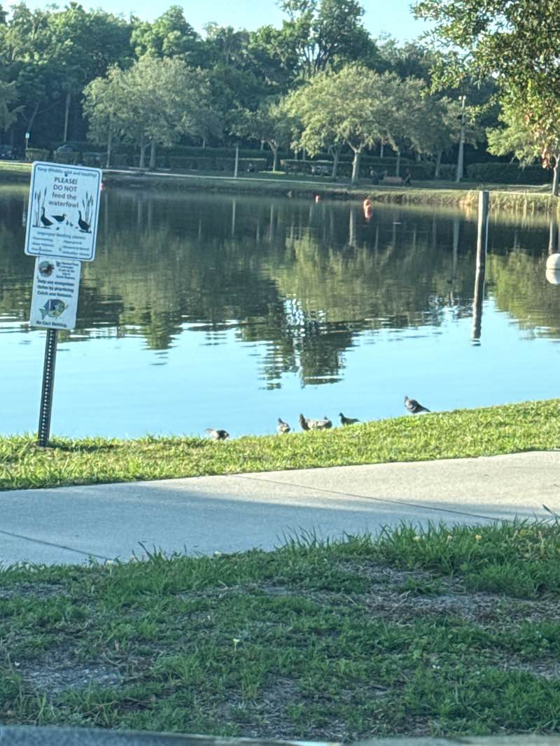 walking near me in Reed Canal Park in summer