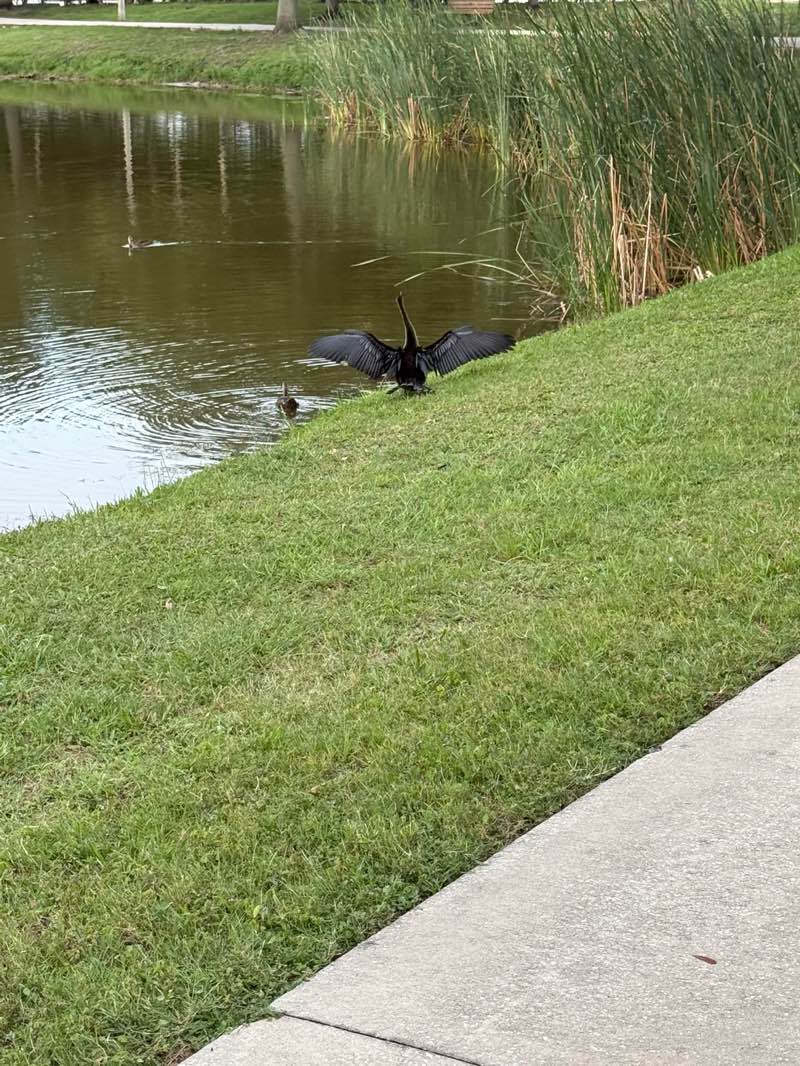 walking near me in Reed Canal Park in summer