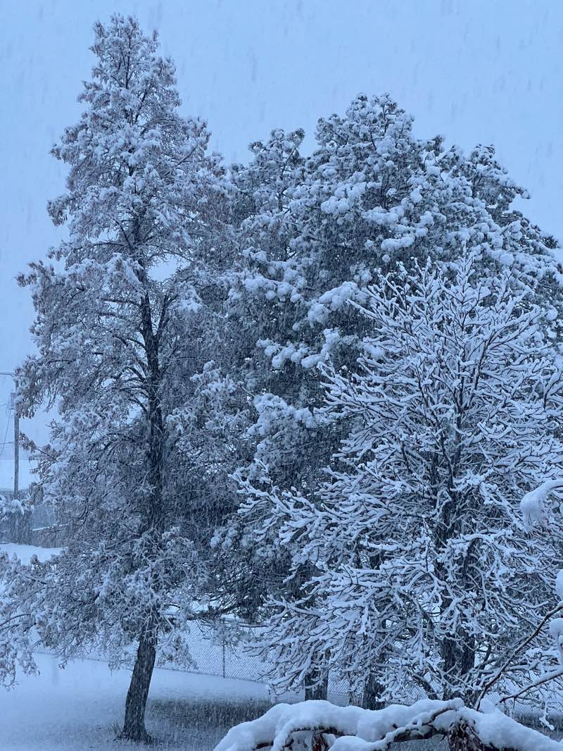 walking near me in Mountain View (Cemetery) Park in winter