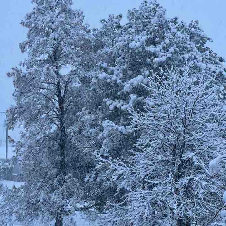 PacerGuy_1989 post 2