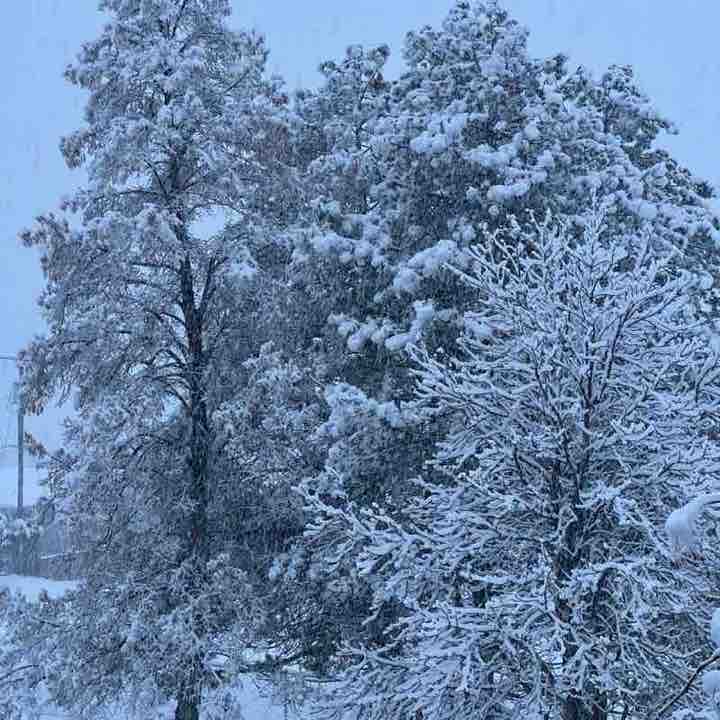 PacerGuy_1989 post 1