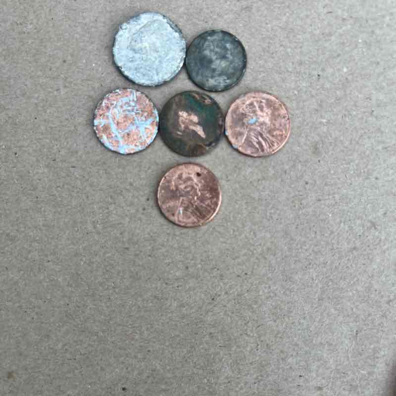 Coin challenge Sophie Rodriguez post image