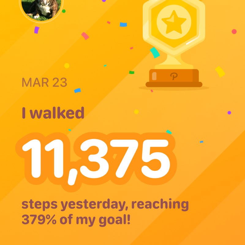 Sophie Rodriguez post 1