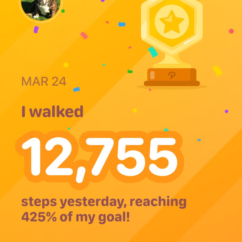 Sophie Rodriguez post 1