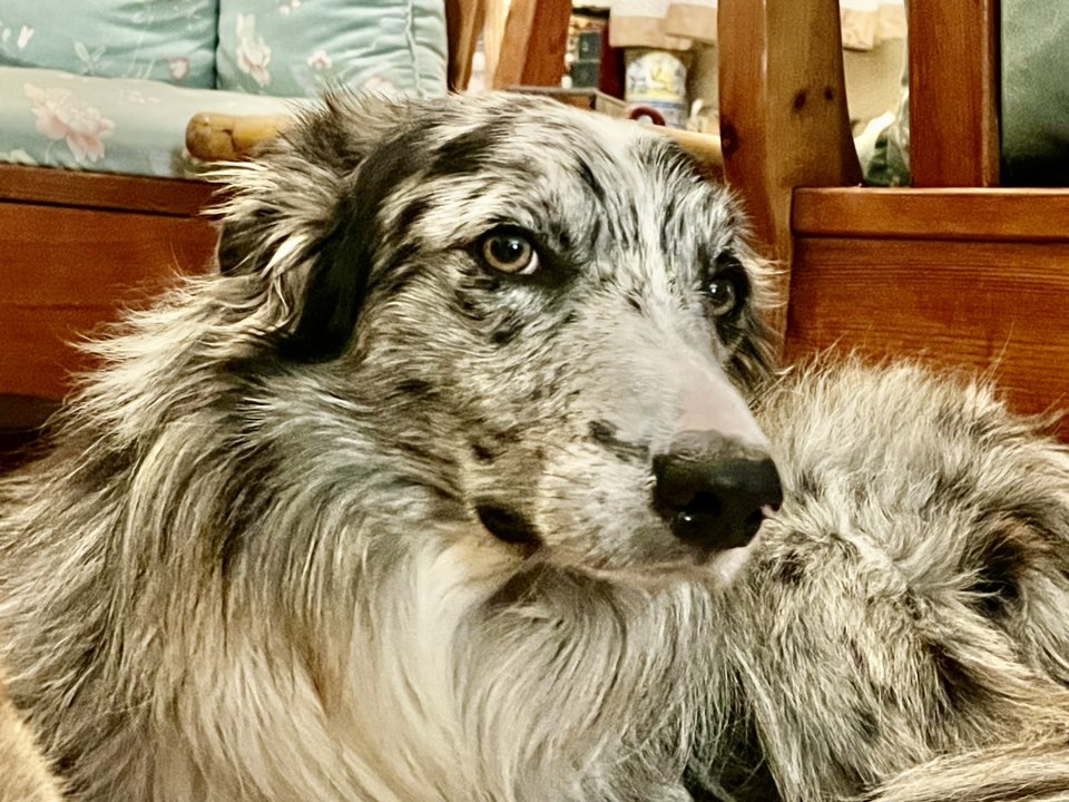 🇪🇸🇳🇬🫶😘💃 icon