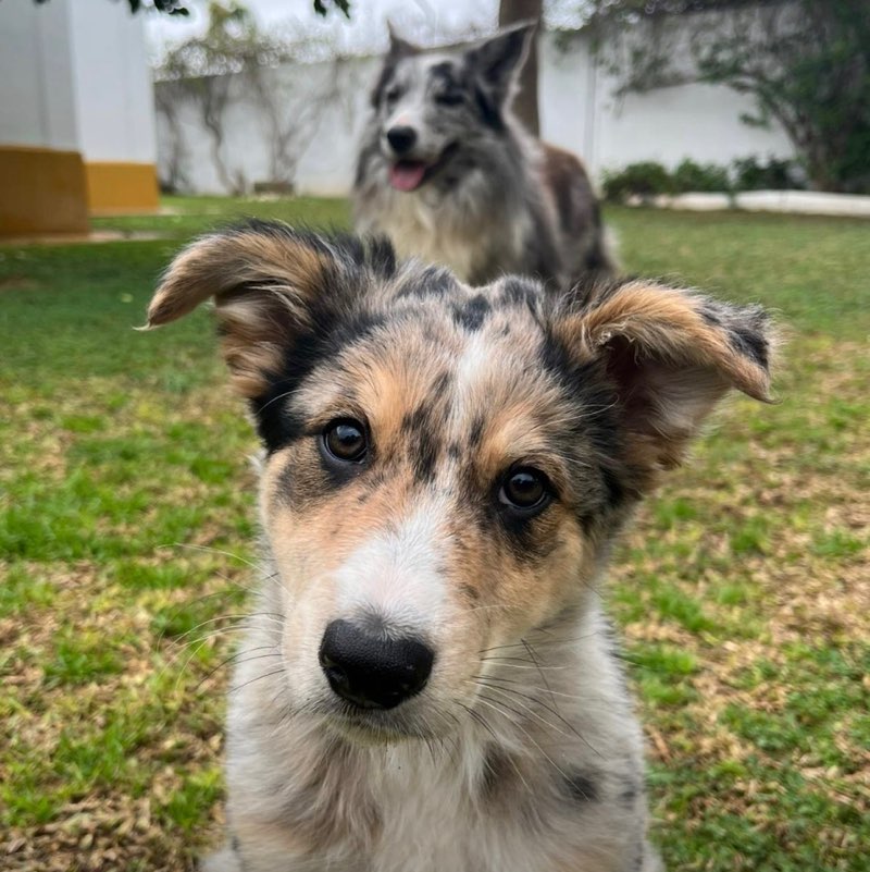 🇪🇸🇳🇬🫶😘💃 icon