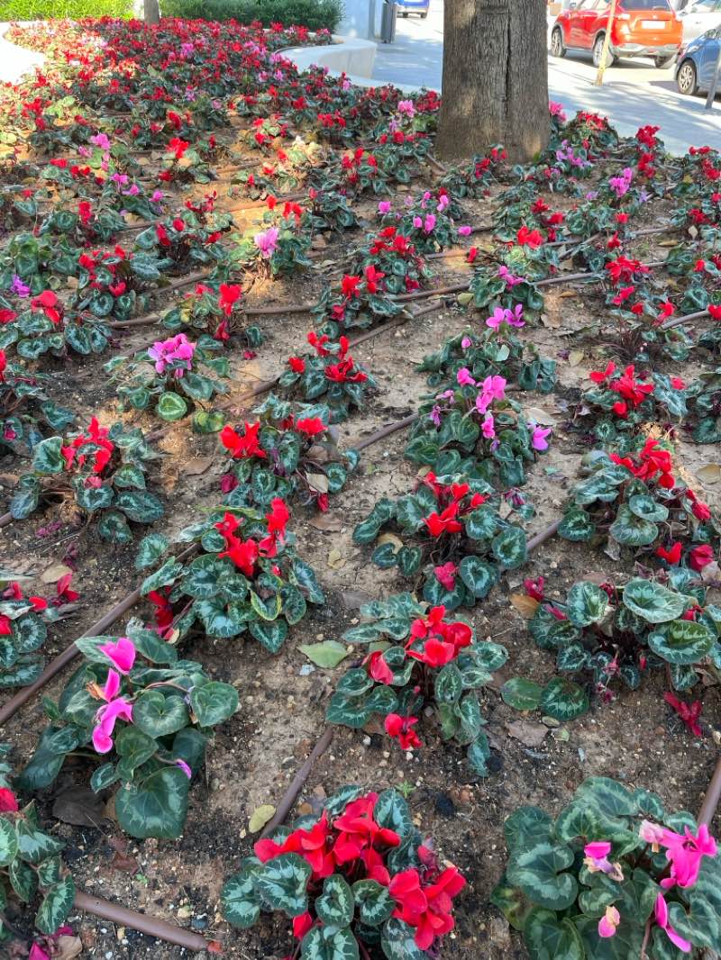 walking near me in Parque de La Motilla in winter