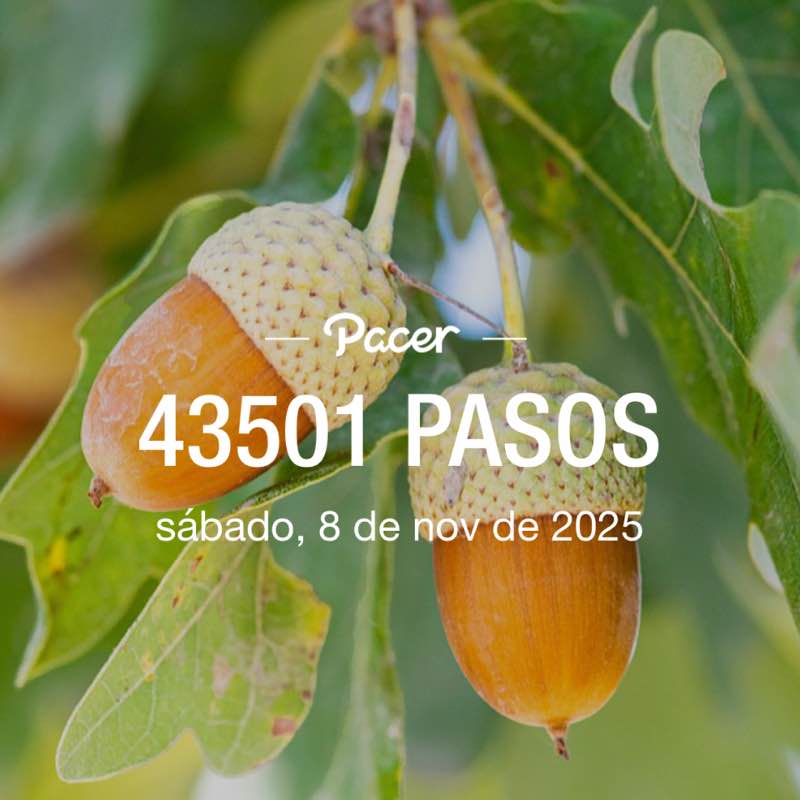 November Group Challenge 🇪🇸🇳🇬🫶😘💃 post image