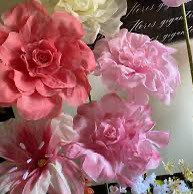 August Group Challenge 🇪🇸🇳🇬🫶😘💃 post image