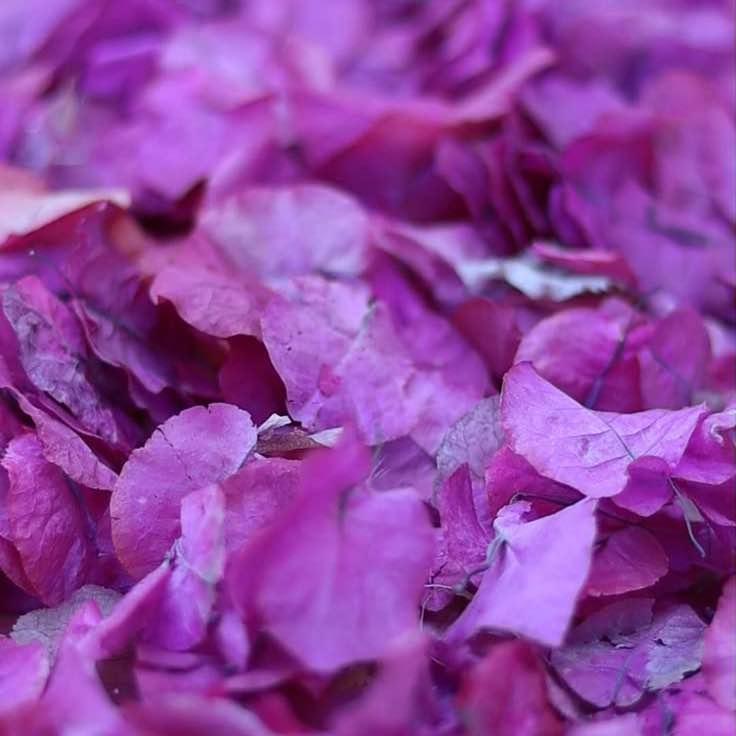 August Group Challenge 🇪🇸🇳🇬🫶😘💃 post image