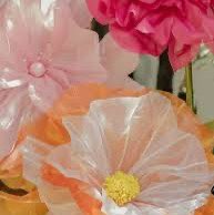 August Group Challenge 🇪🇸🇳🇬🫶😘💃 post image